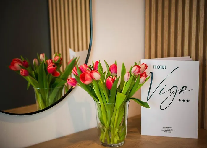 Vigo 3*