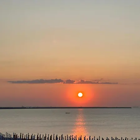 فندق Vigo إيفوري نورد