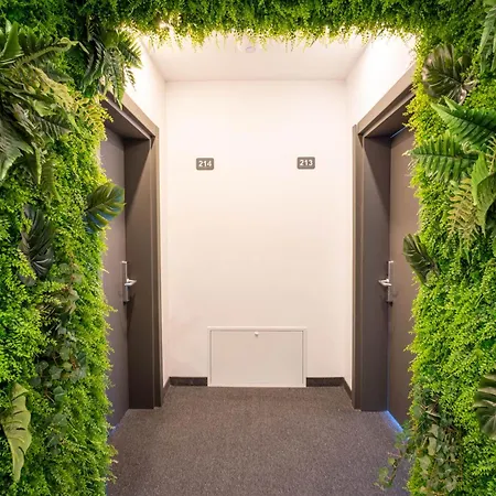 Vigo 3*
